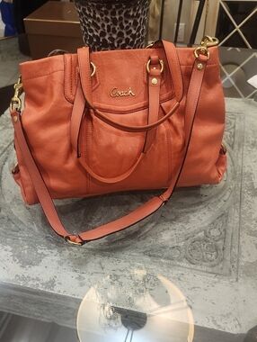 Coach Ashley Y2k Soft Leather Shoulder Crossbody Bag Purse